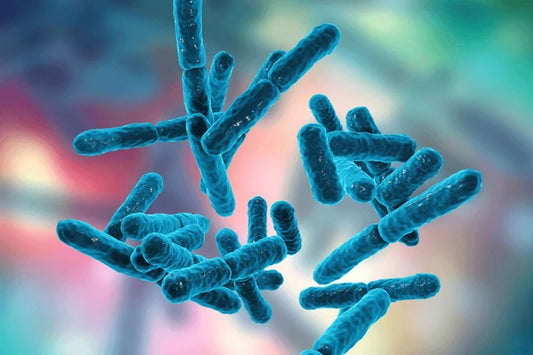 Probiotics, Prebiotics and how they improve calf health.